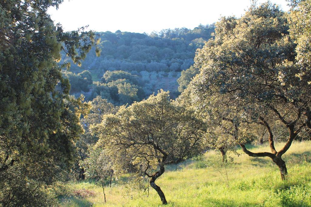 Cabana El Mirador Pedroso de Acim Kültér fotó