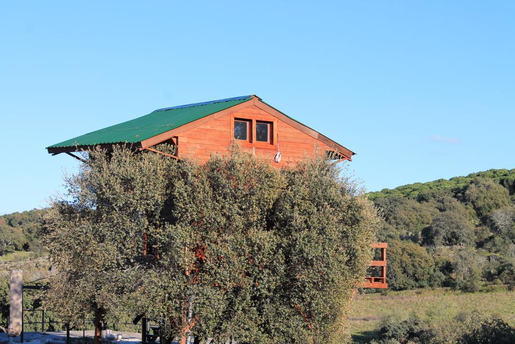 Cabana El Mirador Pedroso de Acim Kültér fotó